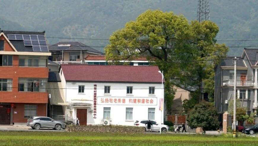 二四六天天彩,刘奕畅拒演苍兰诀男二,全面解答解释落实_黄金版V8.77
